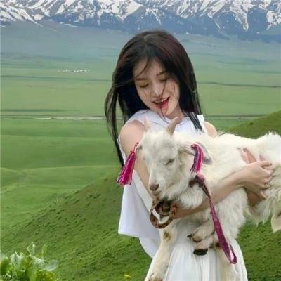 恶犬之下